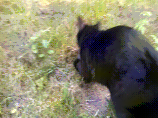 WP_20150715_153743Z