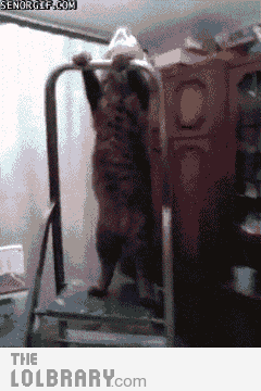 lolbrary.com_13055_1386606006