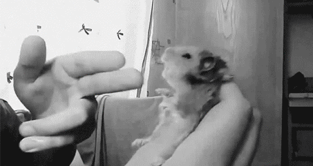 dae4041f243bf5a39be04415195cf7659b7bfbd299529c4d92192654eda97de5_1