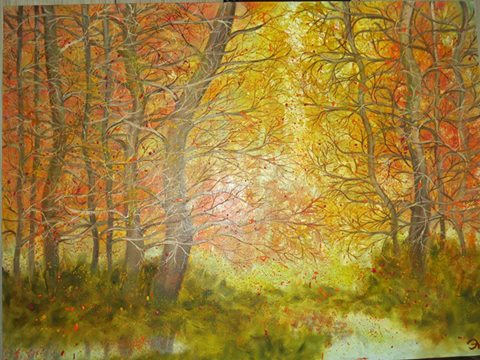 13606800_1643523712636577_3063962634981058867_n