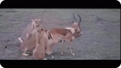Мама, мы справились!