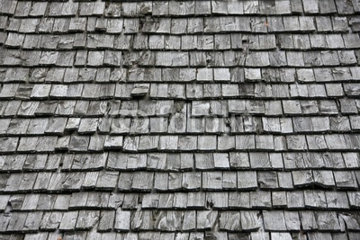 400_F_9966587_Hjh48paOxaBtIjVo1lfP05GUcetg3yjB