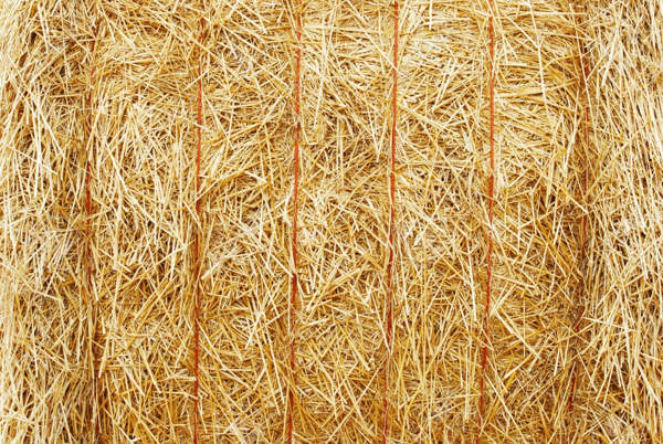 8880461-closeup-hay-bale-Stock-Photo