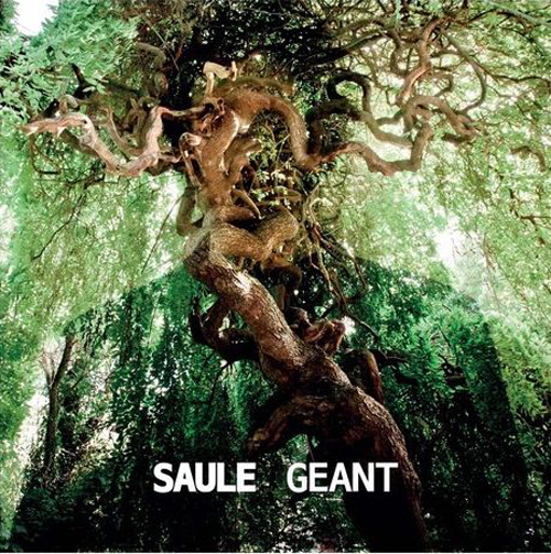 Saule - Géant