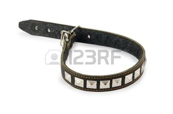 10856376-Ошейник,-изолированных-на-белом-фоне