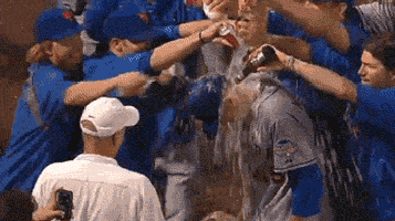 sobiraeshsabrositpit