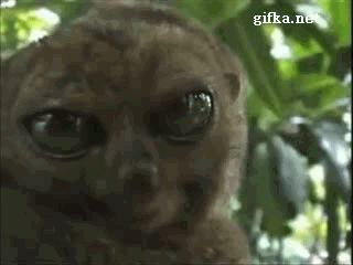 aw8