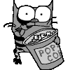 cats_30
