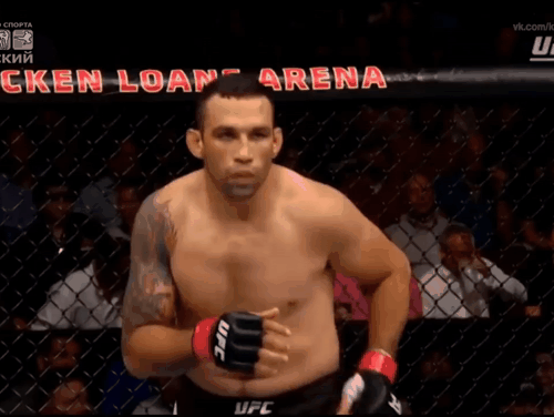 Fabrício Werdum vs. Travis Browne II
