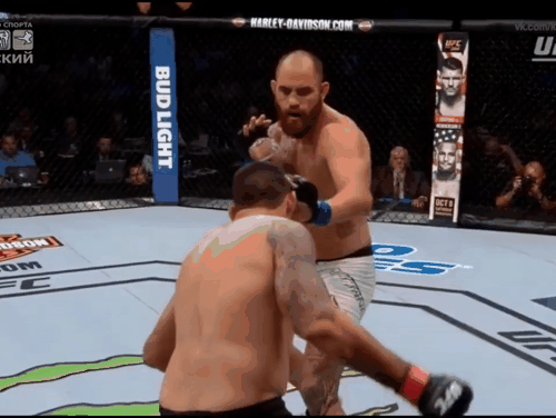 Fabrício Werdum vs. Travis Browne II