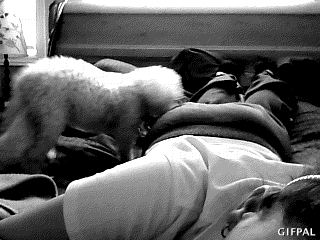 tumblr_odc2zcwQMj1tyncywo1_400