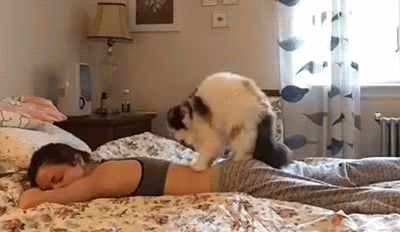 tumblr_odixphrR0U1s02vreo1_400