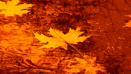 0_1a9736_508b75e6_L