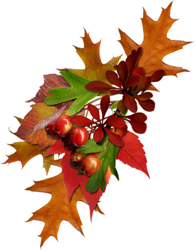 fall001