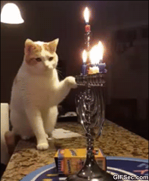 147477643116326996