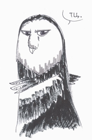 Owl_prev