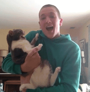 gifs_10df