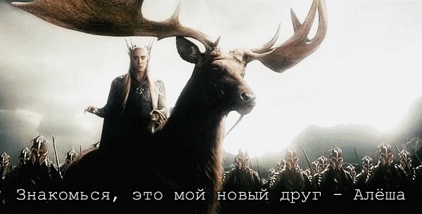 Мертвый лось