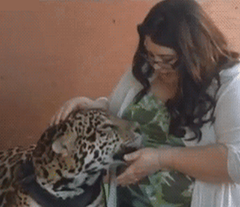 63c35b2011d902747ccaff99d27d414a522fb2ca46e04d70e71aa328ac5ec350_1