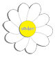 -танечка-ромашка-белая