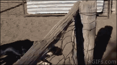 ac07ca6cb89c2d221a90926bd47e8a80