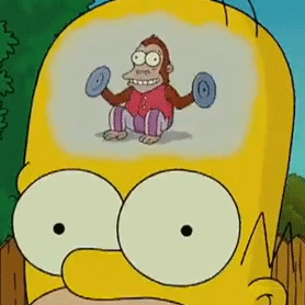 homer-simpson-head-monkey-7113