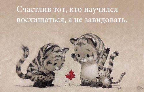 131425160_image