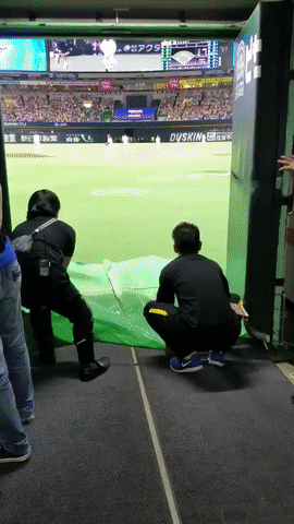 4ad57ce14c84acc29dd19ebdee6c128c