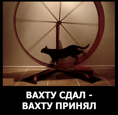 592291991c2cf9adfa8e676b4101424bb52f25e560ba7c969fb9183e36456f21_1