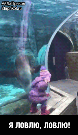 7008a1c8225c3c4ef26dad6b88429e81bf69316b9954b57d356569b7c97c4e65_1