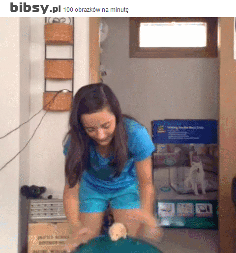 Полёт нормальный