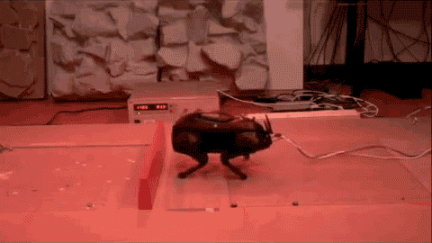 480x270x78b3b9bc676b133df687735c