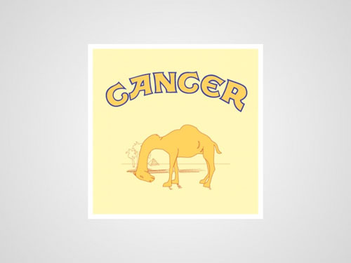 honest-camel-logo