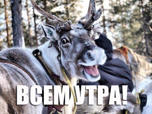 b40759982c3338379ec031cb4c20f446