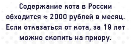 cat_money
