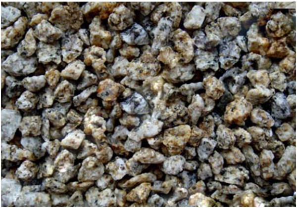 947386208f75c9fd3a760f86ead2df5a