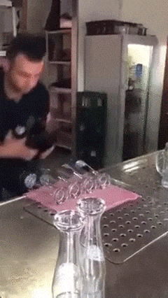 they-are-better-at-their-jobs-than-you-are-12-gifs-71
