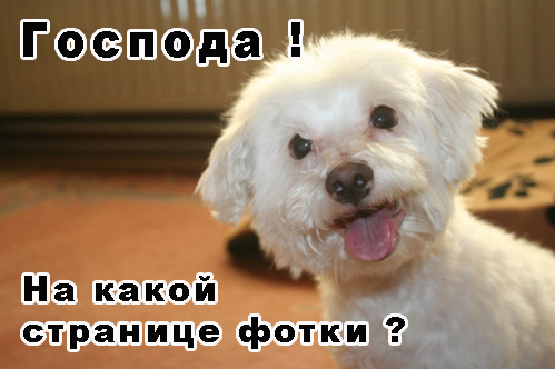 save
