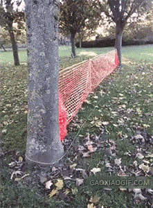 5eef6257gw1f9x6tn16czg206508c4qr