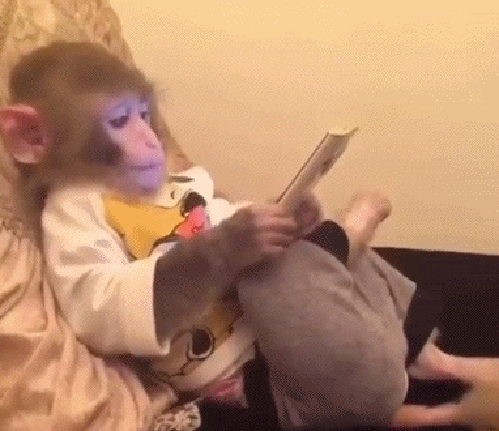 1479708348_500.can-i-help-you