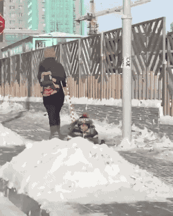 -мой-пездюк-зогс-3505509