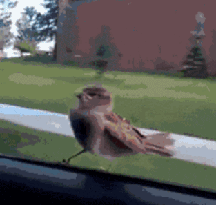 e157aaf5a4100eb020d2204903104909