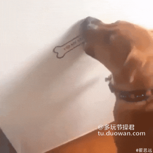 dab888644fece9ca630b3e97633d8043