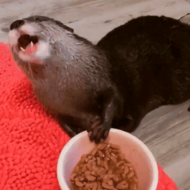 b9cf6997f541e64e16da7e6bf62a30ef