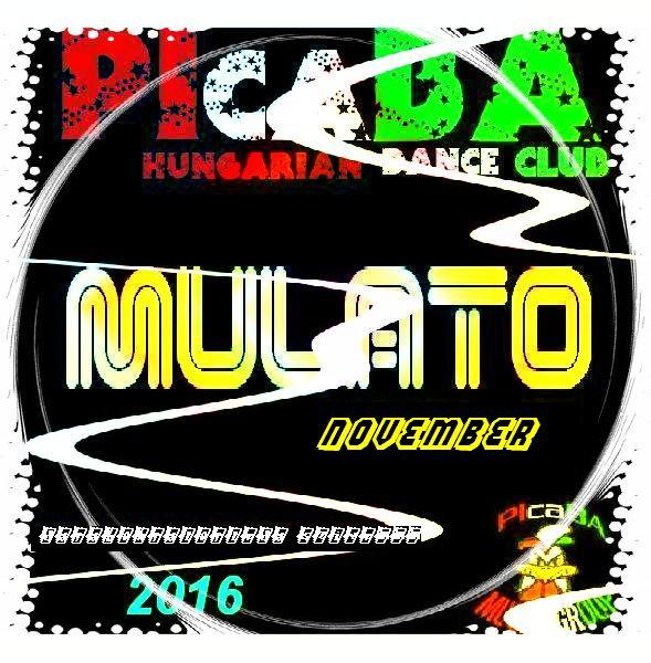 00.PIcaBA Group - VA Mulato november 2016