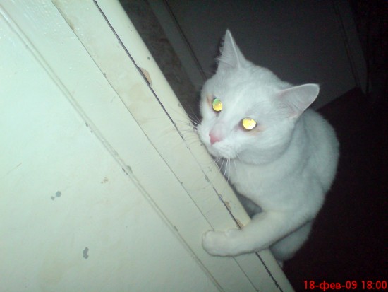DSC00311