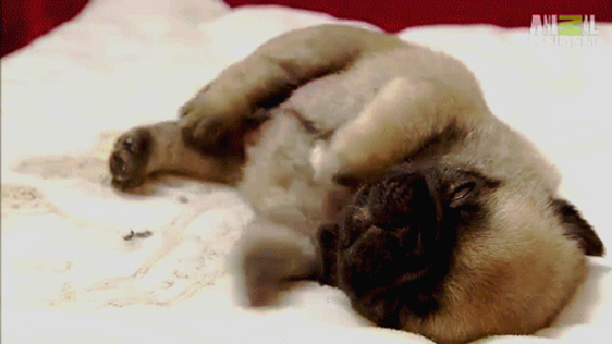 1428673854_05_yapfiles.ru