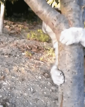 9433acbec9e6c1002282cc3f4fb