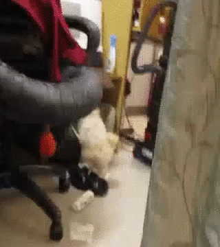 Я тебя не звал