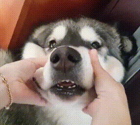 db601e6f6a5a34046085bbef5ee3302c